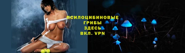 стафф Нязепетровск
