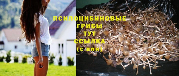 МДМА Новозыбков