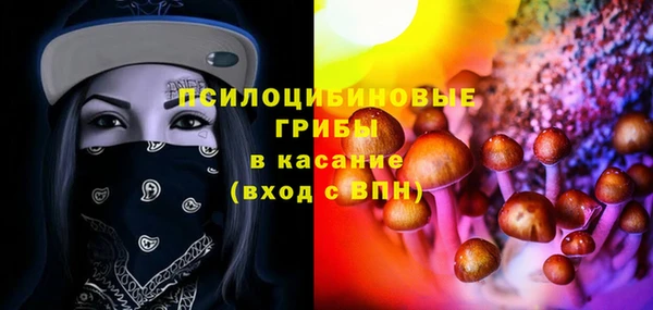 дмт Няндома